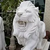 Western style outdoor marble stone lion a pair of lion sculpture