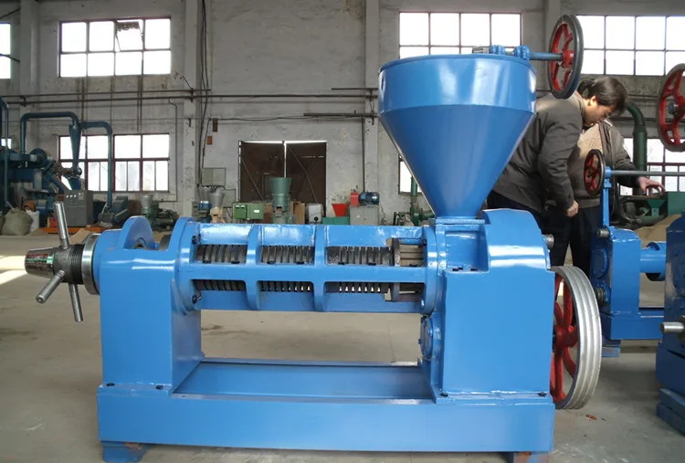 Factory price beech nut tobacco seed mongongo nut oil extracting machine