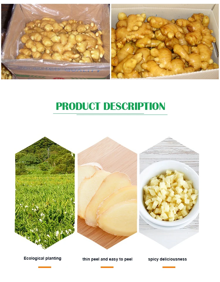 Fresh-ginger_03.jpg