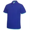 Mens Customized Polo T Shirts With Company Embroidered Logo