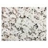Big white flower balala granite cut to size bala white granite
