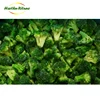 /product-detail/good-quality-brand-frozen-broccoli-safe-and-healthy-food-62044922964.html