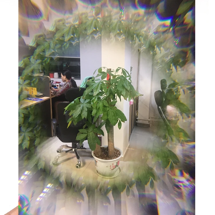fish eye kaleidoscope lens