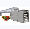 /product-detail/best-for-electric-professional-food-dehydrator-food-drying-machine-60745686337.html