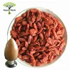 High Quality Wolfberry Extract/Lycium Fruit Extract/Goji Berry Extract