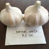 /product-detail/natural-4-p-garlic-snow-pure-white-garlic-price-for-bangladesh-philippines-60767010912.html