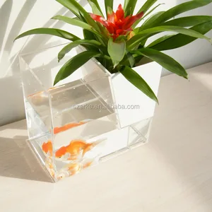 mini aquarium fishbowl