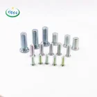 High quality round head stainless Steel 304 pressure riveting screw