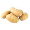 /product-detail/best-quality-holland-seed-potato-from-pakistan-in-china-62138628341.html