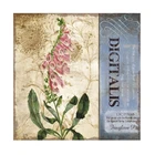 Antique Digitalis Flower Wood Art Canvas Oil Painting