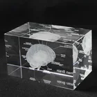 3D Laser Etched Brain design Anatomical Model Paperweight in Crystal Glass Cube Science Gift