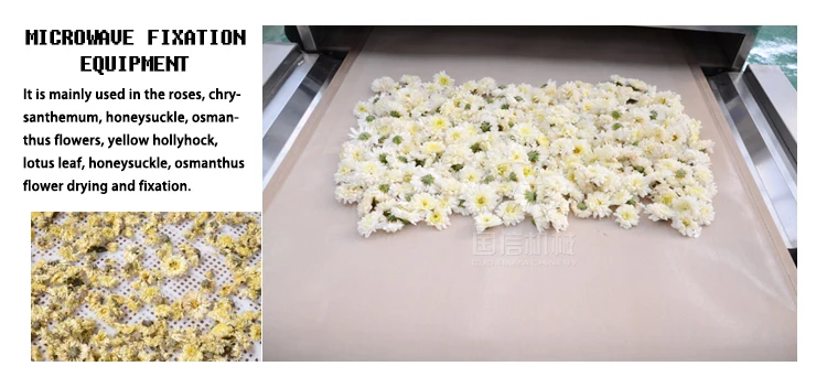 spice drying and sterilizing machine