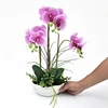 /product-detail/customized-color-new-design-artificial-orchid-in-pot-flower-bonsai-real-touch-flowers-62196909827.html