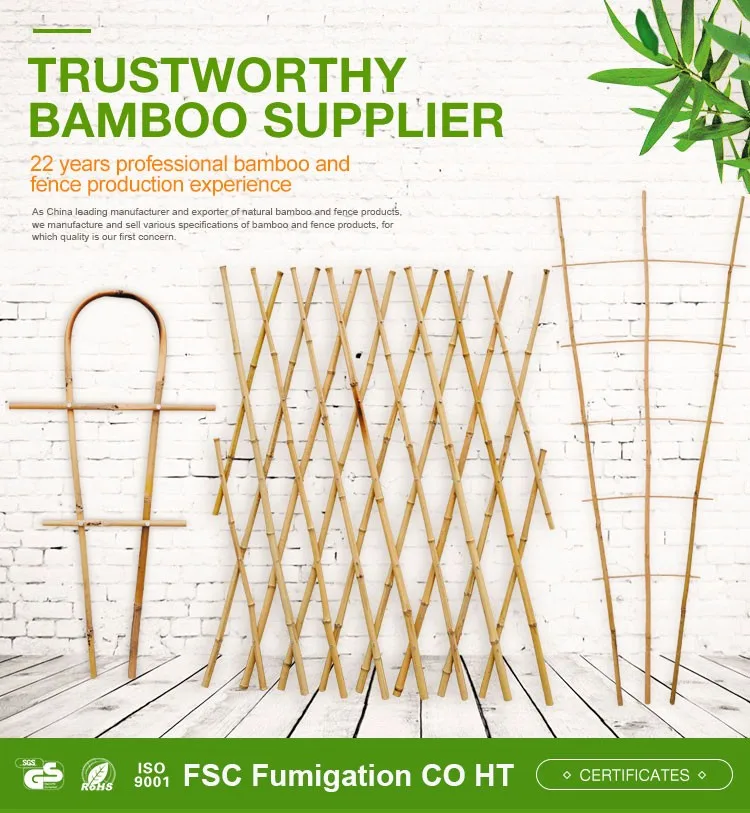 Natural Materials Indoor Bamboo Ladder Trellis & U Garden Hoops Buy