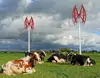 New vertical style wind power generator also called 5kw Wind energy