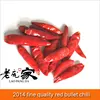 fine quality red bullet chilli