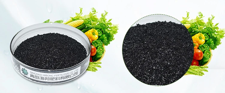 Black Mineral Source 70% Super Potassium Humate Shiny Flake fertilizer