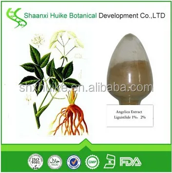 100% Natural Herbal Extract Angelica root Sinensis Extract