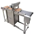 E6 printing in egg for Stacking Coding conveyor for inkjet printer