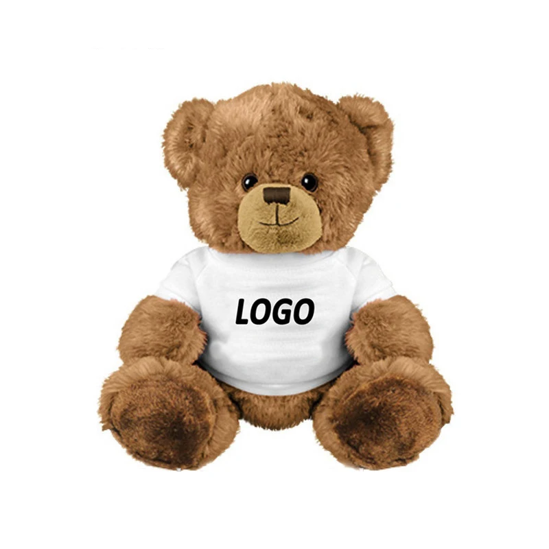 small teddy bear with shirt