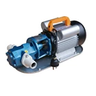 New Diesel Transfer Pump 220 AC Portable Fuel Self Priming Oil Kerosene 50L/Min