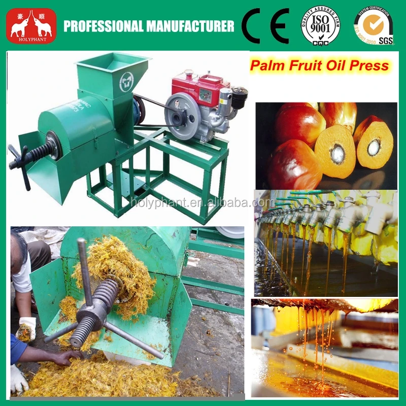 Double Screw Fresh Palm Oil Press Machine price