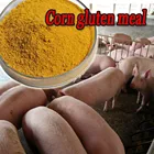 Poultry& livestock&fishery&shrimp feed , Plant Protein Feed 60% corn gluten meal