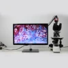 MSL-500T Cost-effective biological microscope Cheap binocular Microscope price