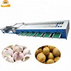 Garlic Sorting Dates Grading Machine Fruit And Vegetable Sorting Machine