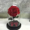 China superior quality long lasting real roses in glass dome wholesale preserved rose flower
