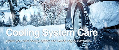 Cooling System Care