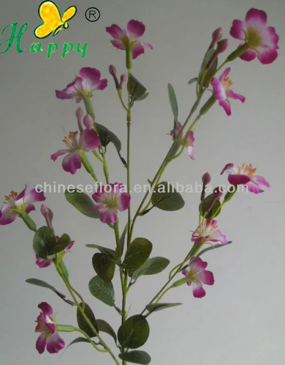 winter flowers jasmine flower exporters