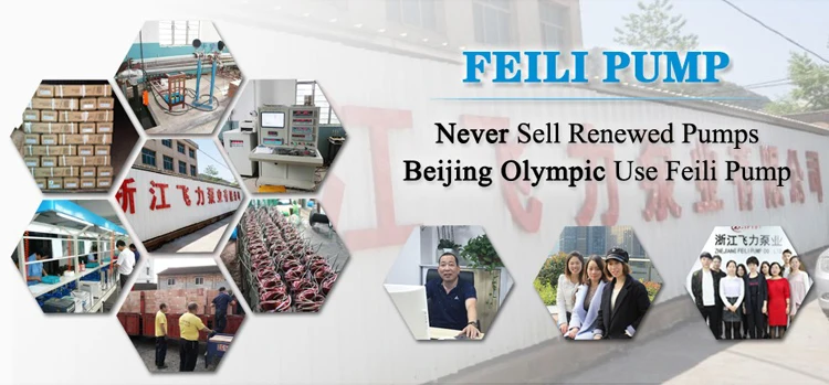 FEILI PUMP TEAM.jpg