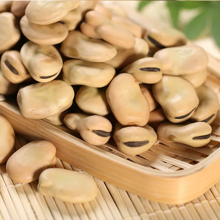Fava Beans 4.jpg
