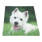 Sunglass Cleaning Cloth Sunglass Cleaning Cloth Custom Logo Microfiber Sunglass Cleaning Cloth
