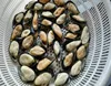 local farm raised seasoned mussel meat with shell