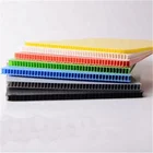 Best Price 2mm 3mm 4mm 5mm 6mm 8mm 10mm 12mm Twin Wall PP Corrugated Cartonplast Plastic Sheet