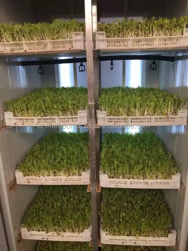 Automatic Germination/Barley Wheat Seeds Germinating Machine/Fodder Sprouting Machine Pasen Machine for Seeds Germ details