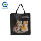 Custom delicate style cheap non woven fabric laminated shopping bag