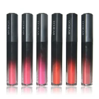 

LCHEAR DQ1133 12 Colors Ultra Smooth Matte moisture Lip Gloss 3.4g net weight