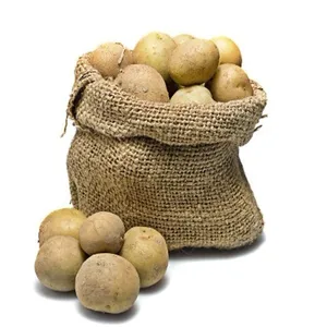 holland potato wholesale price