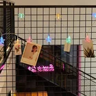 2020 バッテリ駆動 20 led クリアフォトクリップ led ストリングの妖精ライトフェスティバルパーティー写真壁の装飾