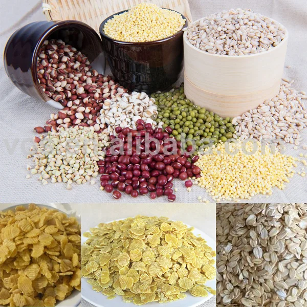 高品质谷物燕麦压滤机,谷物小麦玉米大豆薄片压片磨机做粥