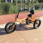 customization Disc brake electric tricycle for fitness(RSD-701)