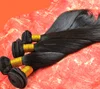 Fashion unprocessed virgin remy factory wholesale model brazilian hair