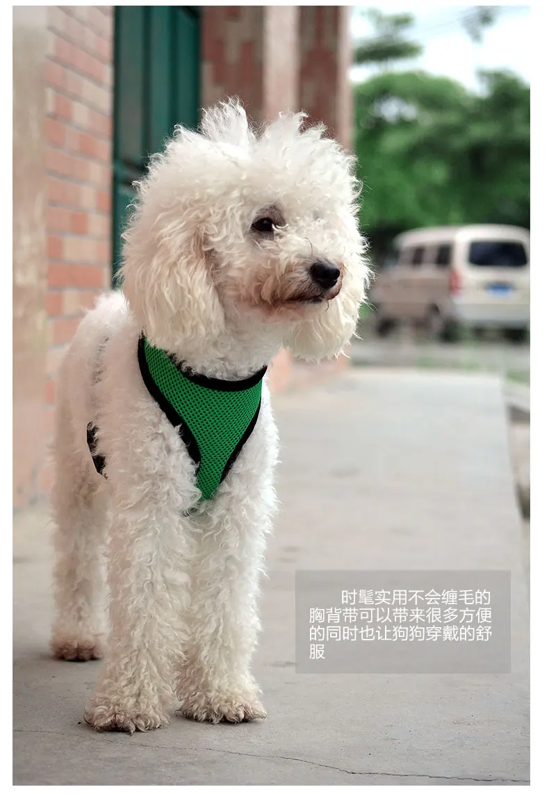 TB2cvnVaVXXXXX.XXXXXXXXXXXX-2266047197