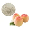 /product-detail/best-sell-100-pure-natural-organic-peach-fruit-powder-soluble-extract-juice-powder-62216813262.html