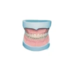 Platinum Curing Rtv Liquid Silicone For Dental Molds Making