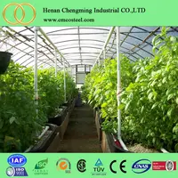 Mechanical Stretch Plastic Film Greenhouses For