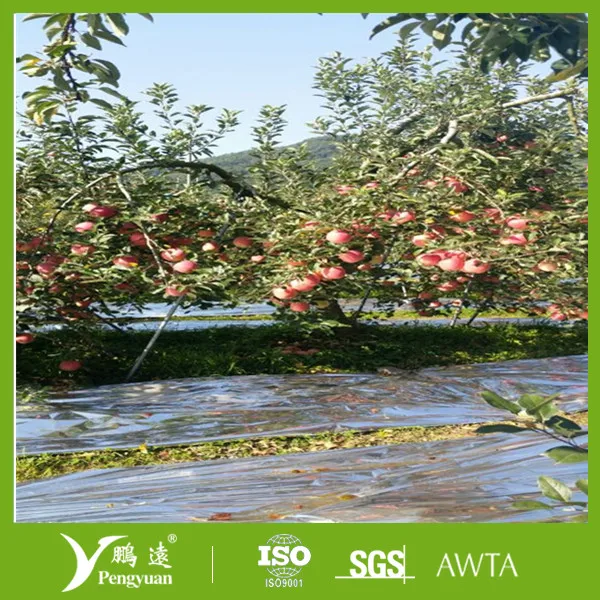 Plastic film mulch/Fruit Reflective Film for agriculture